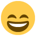 :emoticon (6):